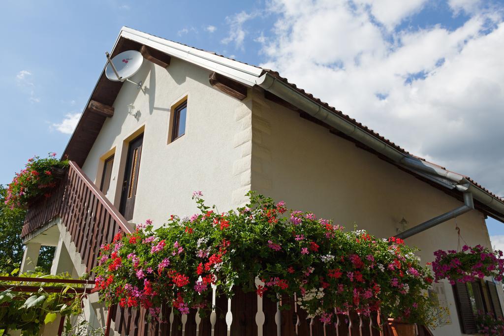 Apartment Ines Smoljanac Exterior foto